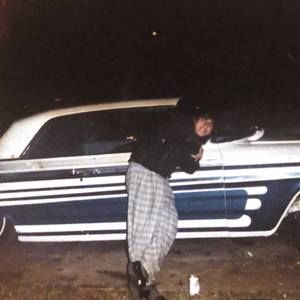 Meet your Posher, Daisy